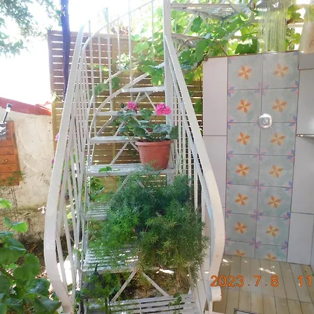 Adonino Daire Argostolion