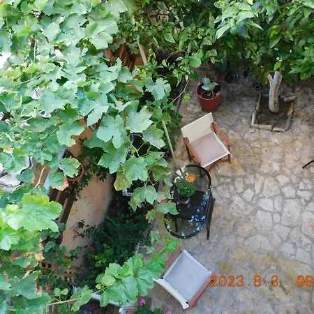 Apartament Adonino